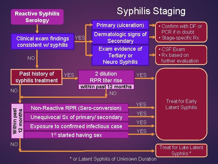 Syphilis Staging Reactive Syphilis Serology Primary (ulceration) Clinical exam findings YES consistent w/ syphilis