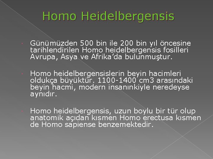 Homo Heidelbergensis Günümüzden 500 bin ile 200 bin yıl öncesine tarihlendirilen Homo heidelbergensis fosilleri Homo Heidelbergensis Günümüzden 500 bin ile 200 bin yıl öncesine tarihlendirilen Homo heidelbergensis fosilleri