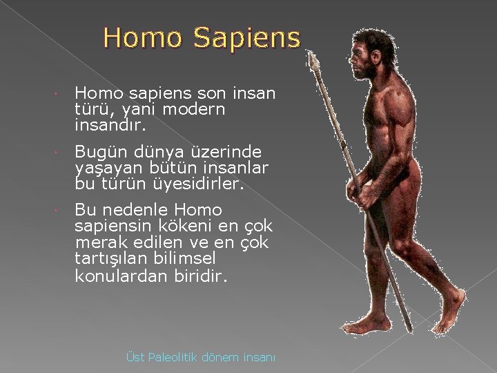 Homo Sapiens Homo sapiens son insan türü, yani modern insandır. Bugün dünya üzerinde yaşayan Homo Sapiens Homo sapiens son insan türü, yani modern insandır. Bugün dünya üzerinde yaşayan