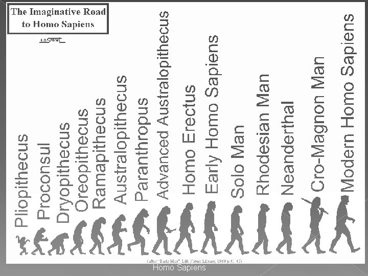 Homo Sapiens Homo Sapiens