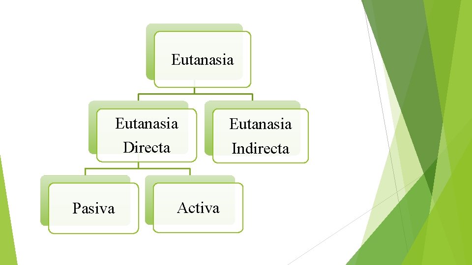 Eutanasia Pasiva Eutanasia Directa Indirecta Activa 