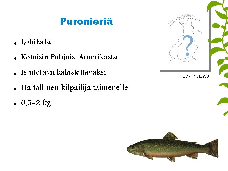 Puronieriä Lohikala Kotoisin Pohjois-Amerikasta Istutetaan kalastettavaksi Haitallinen kilpailija taimenelle 0, 5 -2 kg Levinneisyys