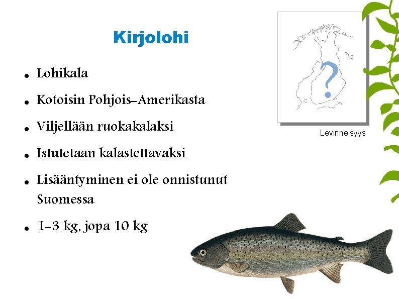 Kirjolohi Lohikala Kotoisin Pohjois-Amerikasta Viljellään ruokakalaksi Istutetaan kalastettavaksi Lisääntyminen ei ole onnistunut Suomessa 1