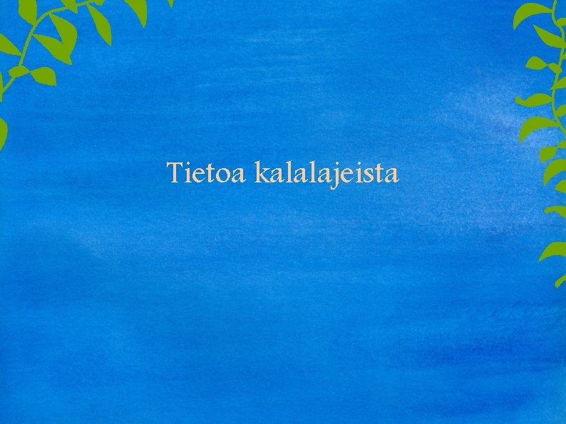 Tietoa kalalajeista 