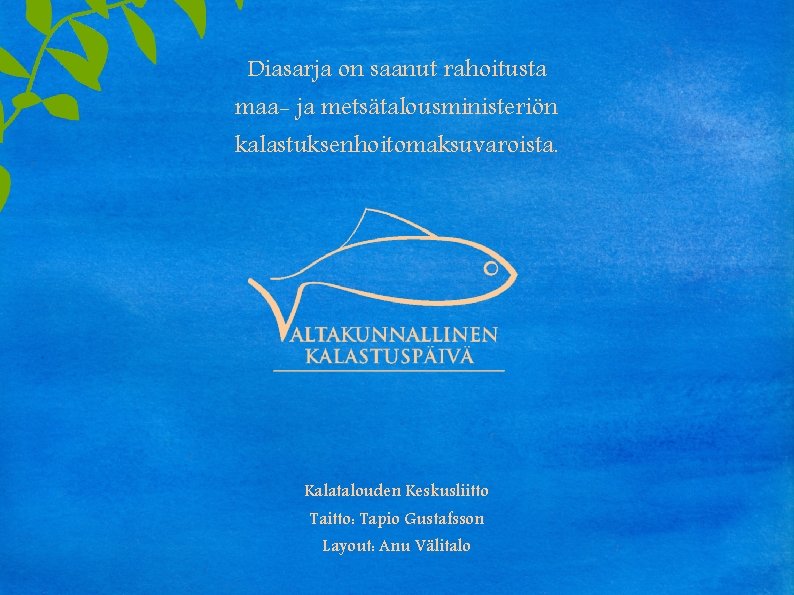 Diasarja on saanut rahoitusta maa- ja metsätalousministeriön kalastuksenhoitomaksuvaroista. Kalatalouden Keskusliitto Taitto: Tapio Gustafsson Layout: