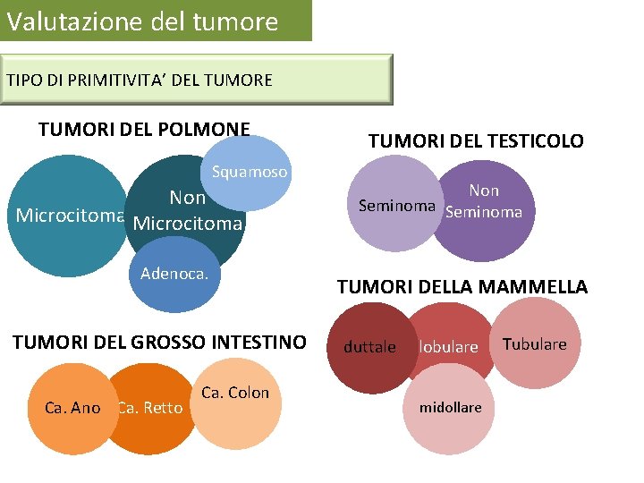 Valutazione del tumore TIPO DI PRIMITIVITA’ DEL TUMORE TUMORI DEL POLMONE Squamoso Non Microcitoma Valutazione del tumore TIPO DI PRIMITIVITA’ DEL TUMORE TUMORI DEL POLMONE Squamoso Non Microcitoma