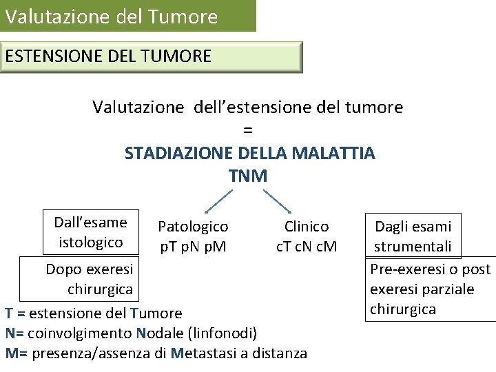 Valutazione del Tumore ESTENSIONE DEL TUMORE Valutazione dell’estensione del tumore = STADIAZIONE DELLA MALATTIA Valutazione del Tumore ESTENSIONE DEL TUMORE Valutazione dell’estensione del tumore = STADIAZIONE DELLA MALATTIA