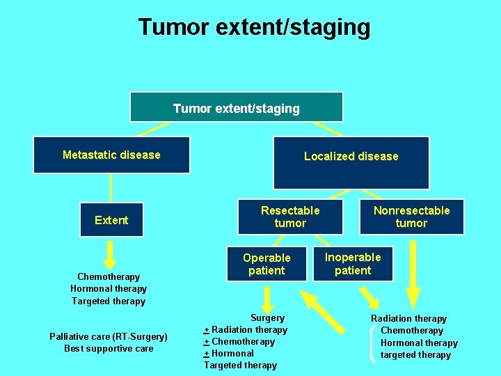 Tumor extent/staging Metastatic disease Extent Chemotherapy Hormonal therapy Targeted therapy Palliative care (RT-Surgery) Best Tumor extent/staging Metastatic disease Extent Chemotherapy Hormonal therapy Targeted therapy Palliative care (RT-Surgery) Best