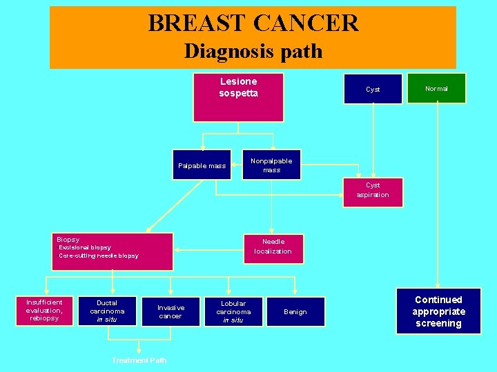BREAST CANCER Diagnosis path Lesione sospetta Palpable mass Cyst Normal Nonpalpable mass Cyst aspiration BREAST CANCER Diagnosis path Lesione sospetta Palpable mass Cyst Normal Nonpalpable mass Cyst aspiration