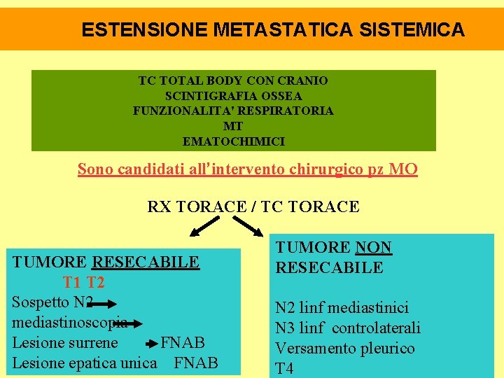 ESTENSIONE METASTATICA SISTEMICA TC TOTAL BODY CON CRANIO SCINTIGRAFIA OSSEA FUNZIONALITA' RESPIRATORIA MT EMATOCHIMICI ESTENSIONE METASTATICA SISTEMICA TC TOTAL BODY CON CRANIO SCINTIGRAFIA OSSEA FUNZIONALITA' RESPIRATORIA MT EMATOCHIMICI