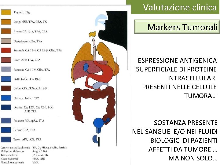 Valutazione clinica Markers Tumorali ESPRESSIONE ANTIGENICA SUPERFICIALE DI PROTEINE INTRACELLULARI PRESENTI NELLE CELLULE TUMORALI Valutazione clinica Markers Tumorali ESPRESSIONE ANTIGENICA SUPERFICIALE DI PROTEINE INTRACELLULARI PRESENTI NELLE CELLULE TUMORALI