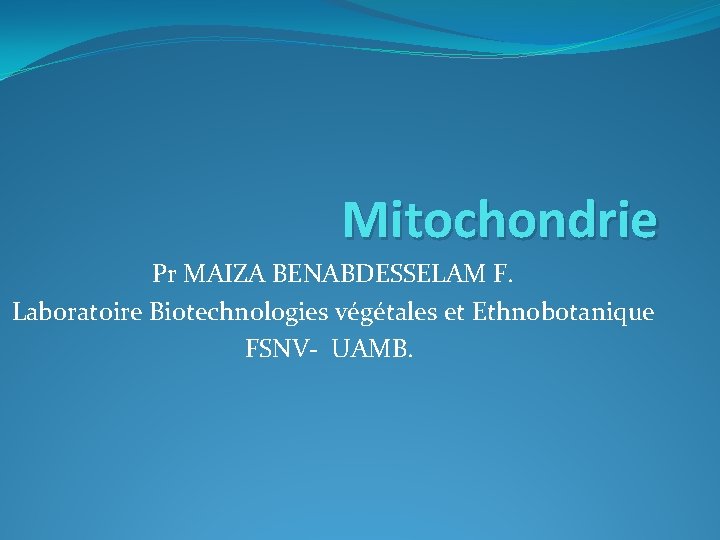 Mitochondrie Pr MAIZA BENABDESSELAM F. Laboratoire Biotechnologies végétales et Ethnobotanique FSNV- UAMB. 