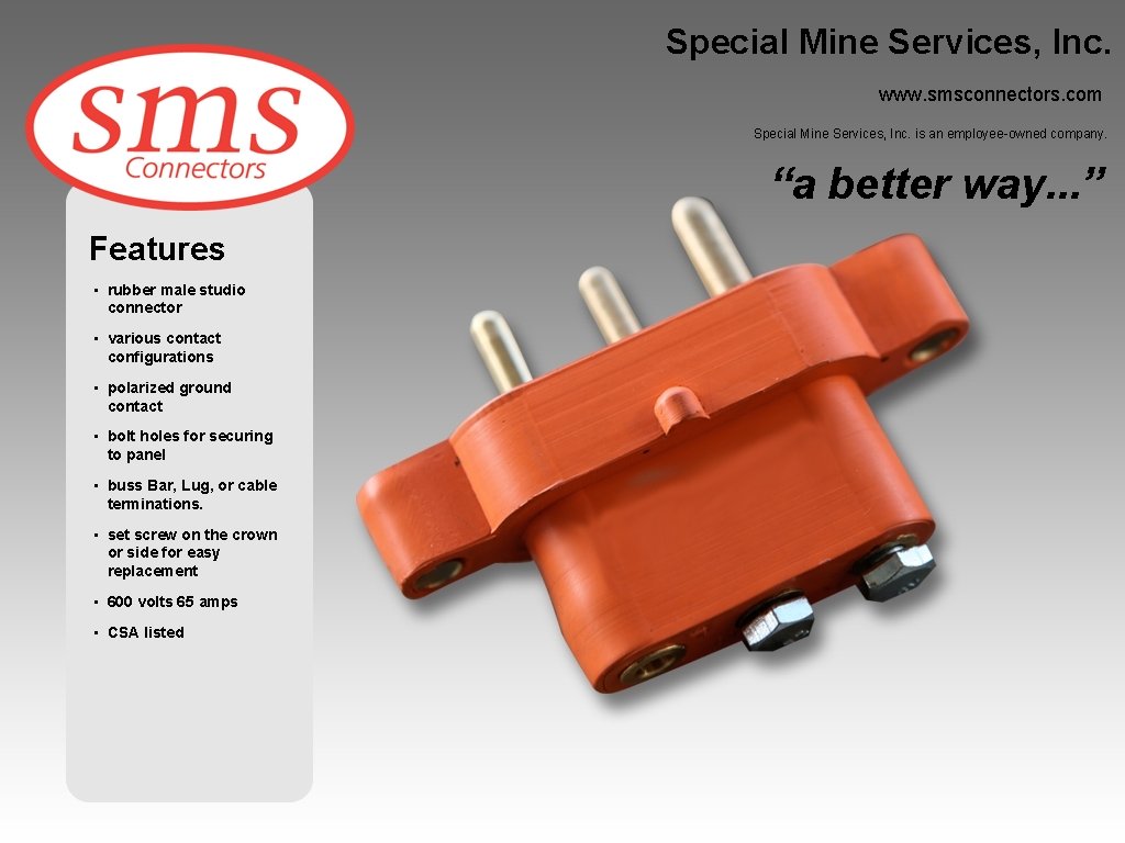Special Mine Services, Inc. www. smsconnectors. com Special Mine Services, Inc. is an employee-owned