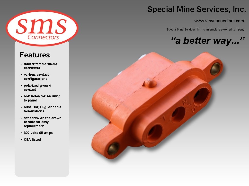 Special Mine Services, Inc. www. smsconnectors. com Special Mine Services, Inc. is an employee-owned