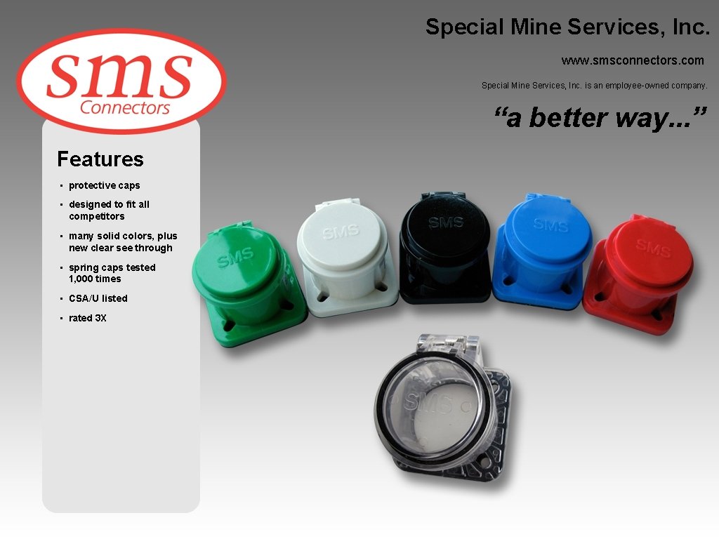 Special Mine Services, Inc. www. smsconnectors. com Special Mine Services, Inc. is an employee-owned