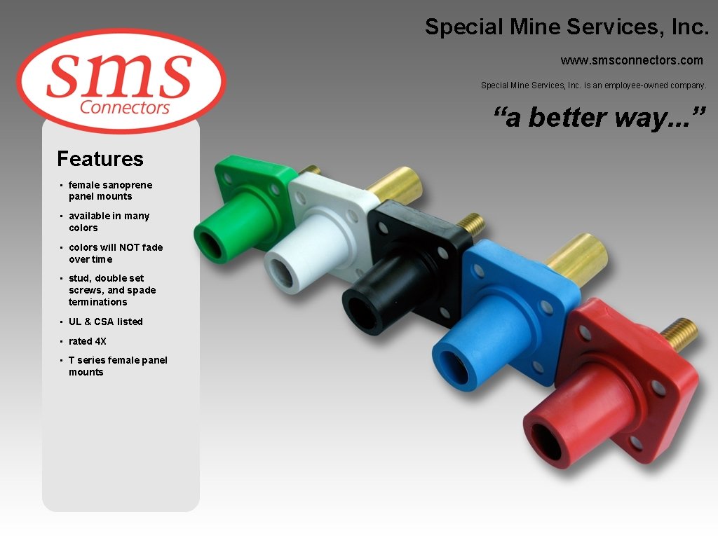 Special Mine Services, Inc. www. smsconnectors. com Special Mine Services, Inc. is an employee-owned
