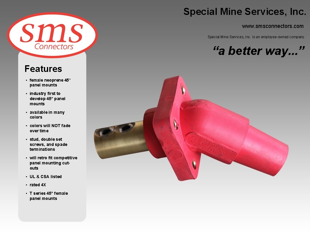 Special Mine Services, Inc. www. smsconnectors. com Special Mine Services, Inc. is an employee-owned