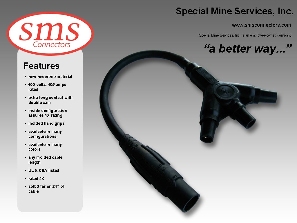 Special Mine Services, Inc. www. smsconnectors. com Special Mine Services, Inc. is an employee-owned