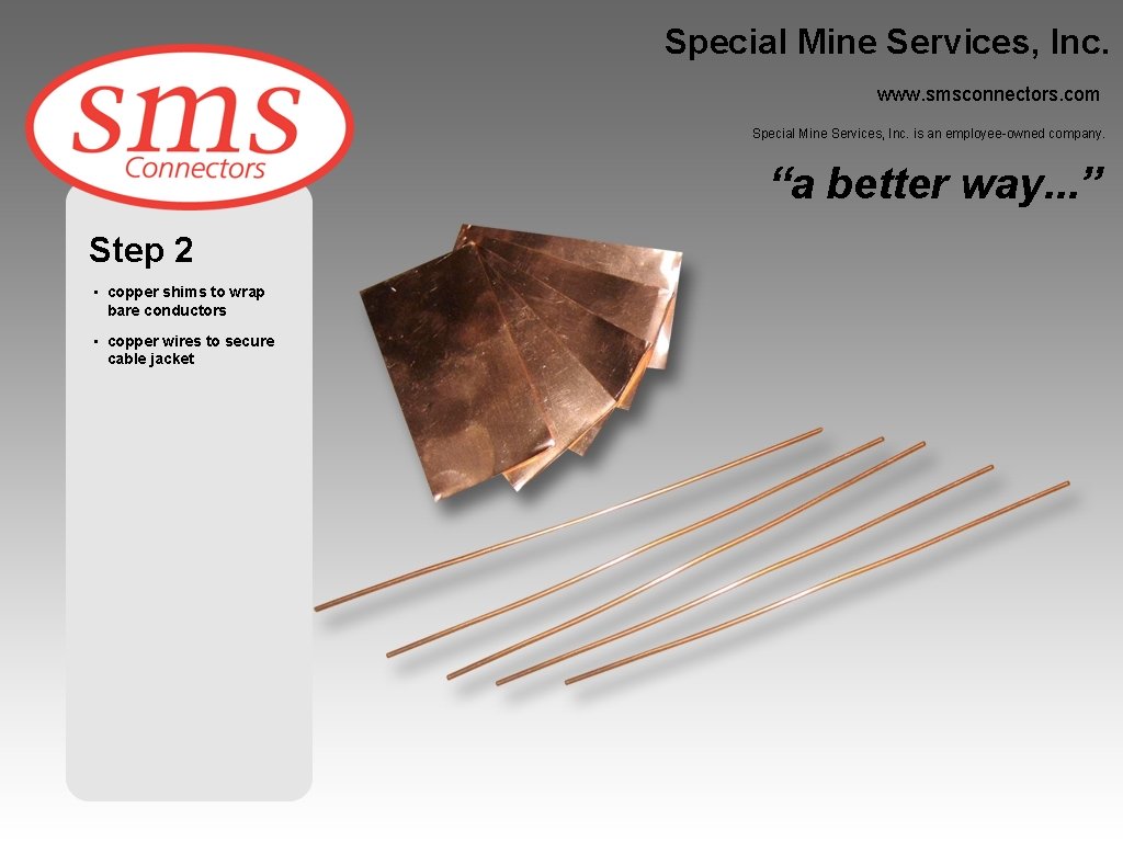 Special Mine Services, Inc. www. smsconnectors. com Special Mine Services, Inc. is an employee-owned