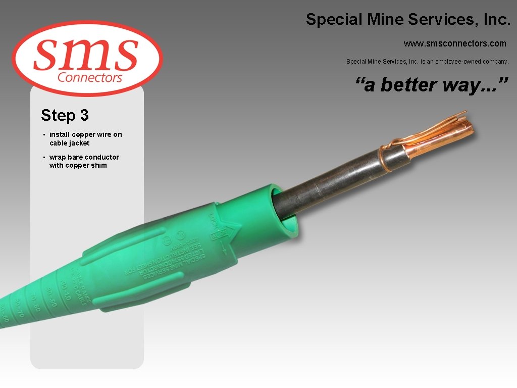 Special Mine Services, Inc. www. smsconnectors. com Special Mine Services, Inc. is an employee-owned