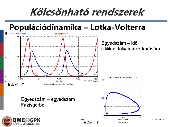 Kölcsönható rendszerek Populációdinamika – Lotka-Volterra Egyedszám – idő ciklikus folyamatok leírására Egyedszám – egyedszám