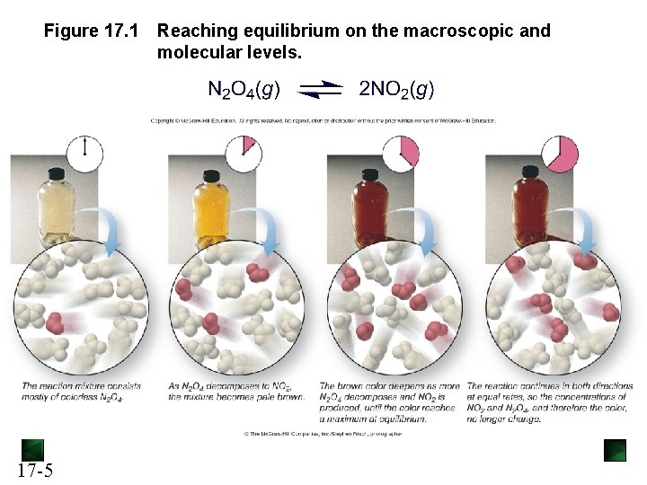 Figure 17. 1 17 -5 Reaching equilibrium on the macroscopic and molecular levels. 