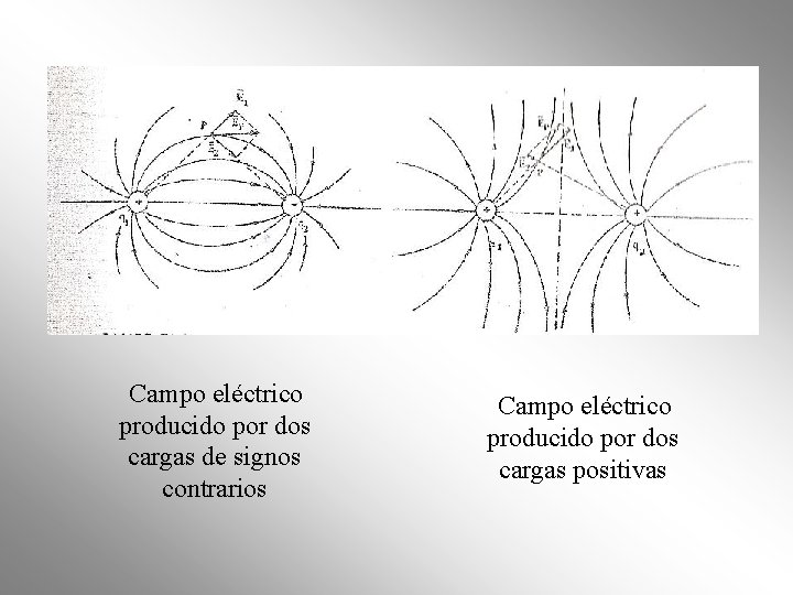 Campo eléctrico producido por dos cargas de signos contrarios Campo eléctrico producido por dos Campo eléctrico producido por dos cargas de signos contrarios Campo eléctrico producido por dos