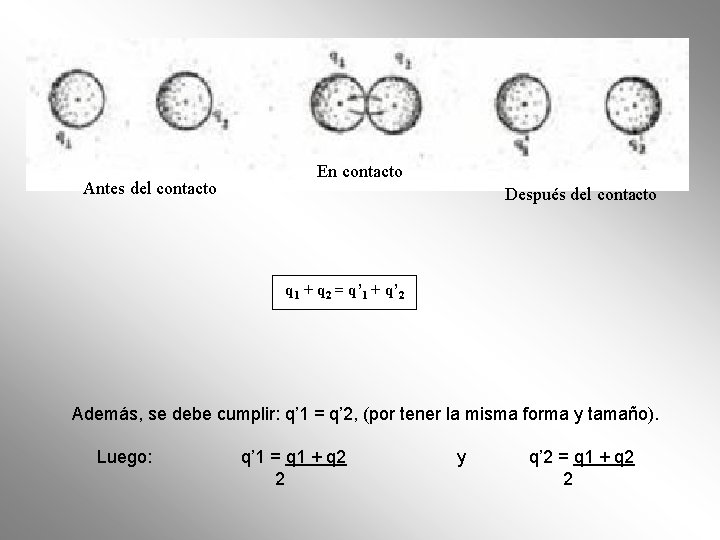 Antes del contacto En contacto Después del contacto q 1 + q 2 = Antes del contacto En contacto Después del contacto q 1 + q 2 =