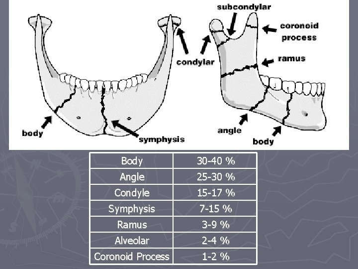 Body 30 -40 % Angle 25 -30 % Condyle 15 -17 % Symphysis 7