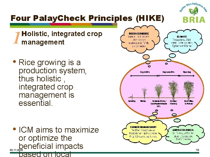 Four Palay. Check Principles (HIKE) 1 Holistic, integrated crop management • Rice growing is