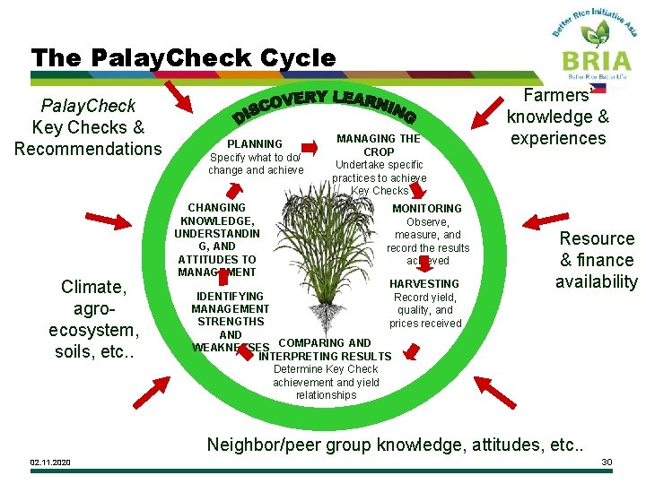 The Palay. Check Cycle Palay. Check Key Checks & Recommendations Climate, agroecosystem, soils, etc.
