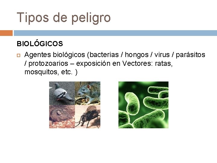 Tipos de peligro BIOLÓGICOS Agentes biológicos (bacterias / hongos / virus / parásitos /