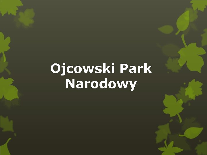 Ojcowski Park Narodowy 