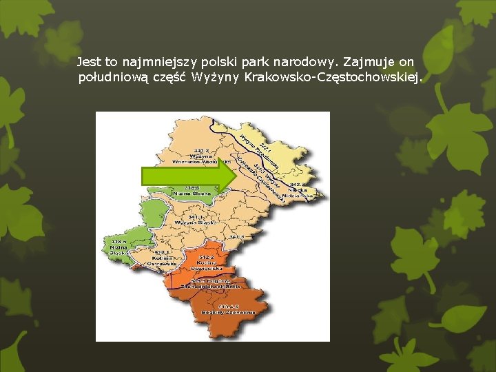 Jest to najmniejszy polski park narodowy. Zajmuje on południową część Wyżyny Krakowsko-Częstochowskiej. 