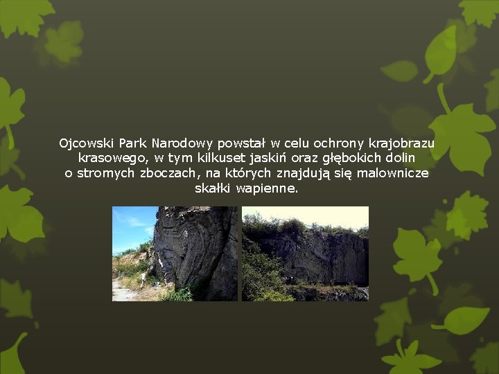 Ojcowski Park Narodowy powstał w celu ochrony krajobrazu krasowego, w tym kilkuset jaskiń oraz