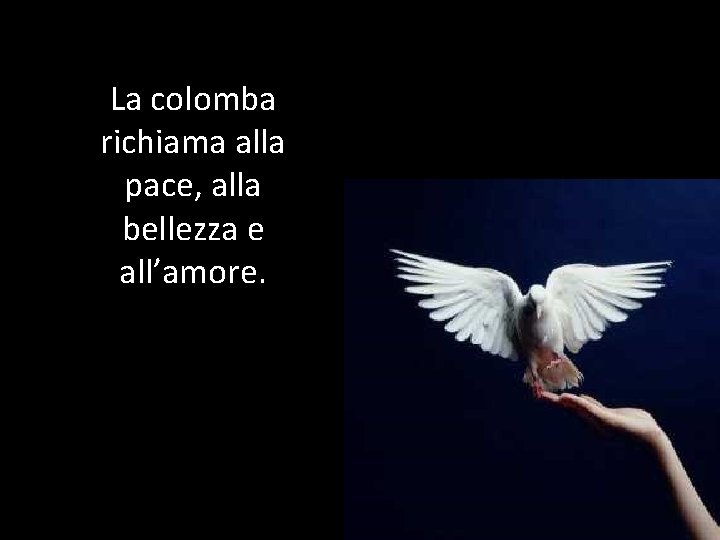 La colomba richiama alla pace, alla bellezza e all’amore. 