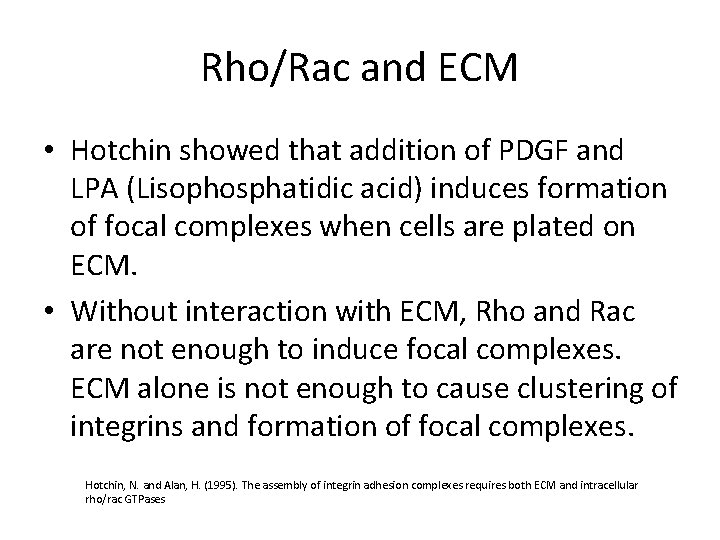 Rho/Rac and ECM • Hotchin showed that addition of PDGF and LPA (Lisophosphatidic acid)