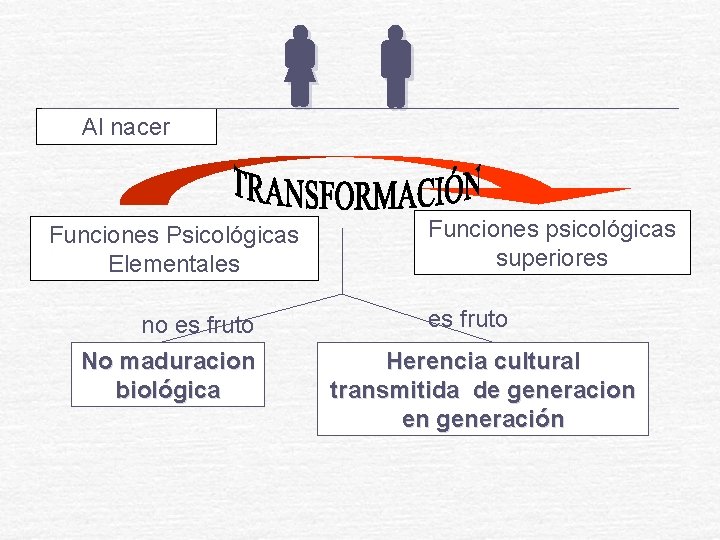 Al nacer Funciones Psicológicas Elementales no es fruto No maduracion biológica Funciones psicológicas superiores Al nacer Funciones Psicológicas Elementales no es fruto No maduracion biológica Funciones psicológicas superiores