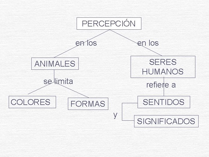 PERCEPCIÓN en los SERES HUMANOS ANIMALES se limita COLORES refiere a SENTIDOS FORMAS y PERCEPCIÓN en los SERES HUMANOS ANIMALES se limita COLORES refiere a SENTIDOS FORMAS y