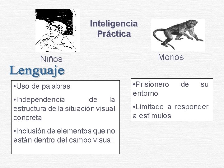 Inteligencia Práctica Niños • Uso de palabras • Independencia de la estructura de la Inteligencia Práctica Niños • Uso de palabras • Independencia de la estructura de la