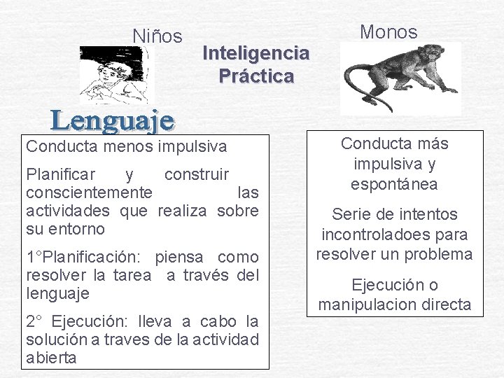 Niños Inteligencia Práctica Conducta menos impulsiva Planificar y construir conscientemente las actividades que realiza Niños Inteligencia Práctica Conducta menos impulsiva Planificar y construir conscientemente las actividades que realiza
