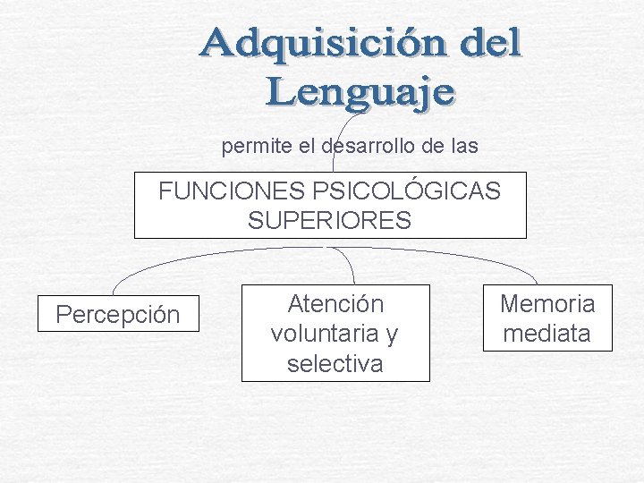 permite el desarrollo de las FUNCIONES PSICOLÓGICAS SUPERIORES Percepción Atención voluntaria y selectiva Memoria permite el desarrollo de las FUNCIONES PSICOLÓGICAS SUPERIORES Percepción Atención voluntaria y selectiva Memoria