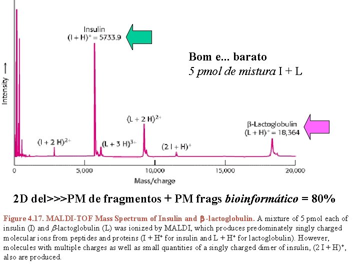 Bom e. . . barato 5 pmol de mistura I + L 2 D