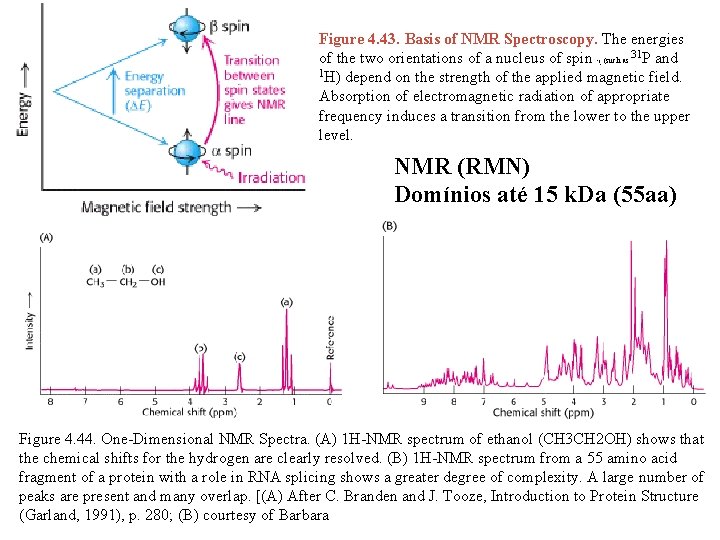 Figure 4. 43. Basis of NMR Spectroscopy. The energies of the two orientations of