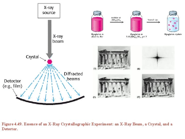 Figure 4. 49. Essence of an X-Ray Crystallographic Experiment: an X-Ray Beam, a Crystal,
