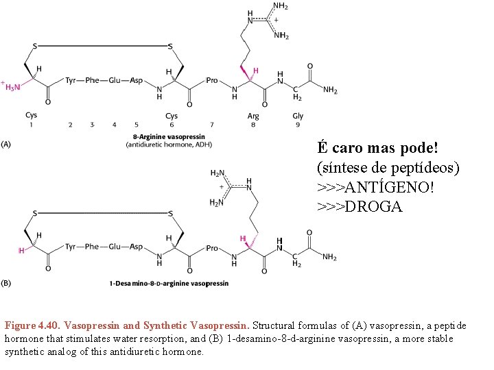 É caro mas pode! (síntese de peptídeos) >>>ANTÍGENO! >>>DROGA Figure 4. 40. Vasopressin and