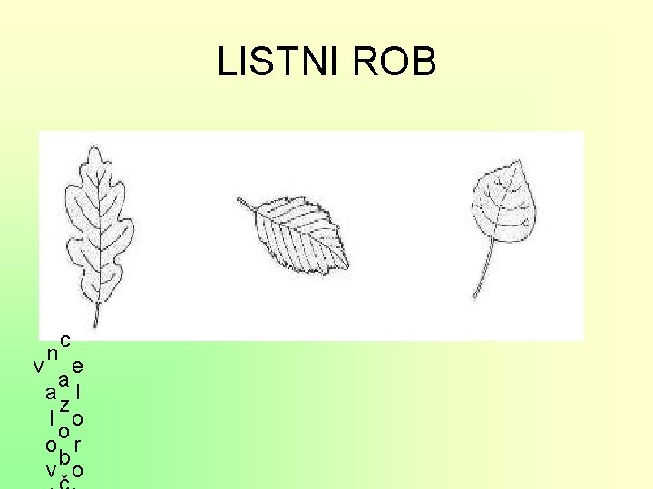 LISTNI ROB v n c e a a l z l o o o