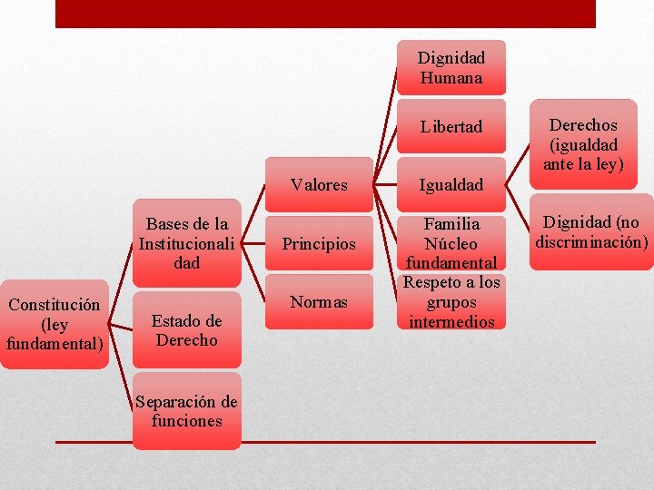 Dignidad Humana Libertad Valores Bases de la Institucionali dad Constitución (ley fundamental) Estado de