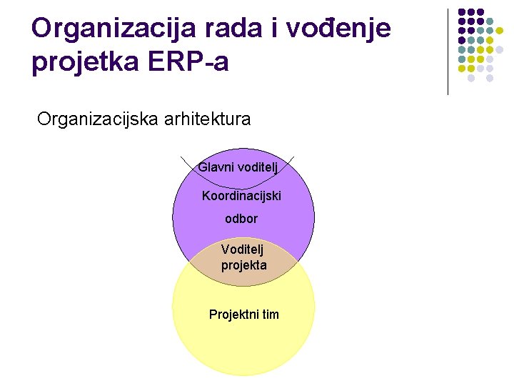 Organizacija rada i vođenje projetka ERP-a Organizacijska arhitektura Glavni voditelj Koordinacijski odbor Voditelj projekta