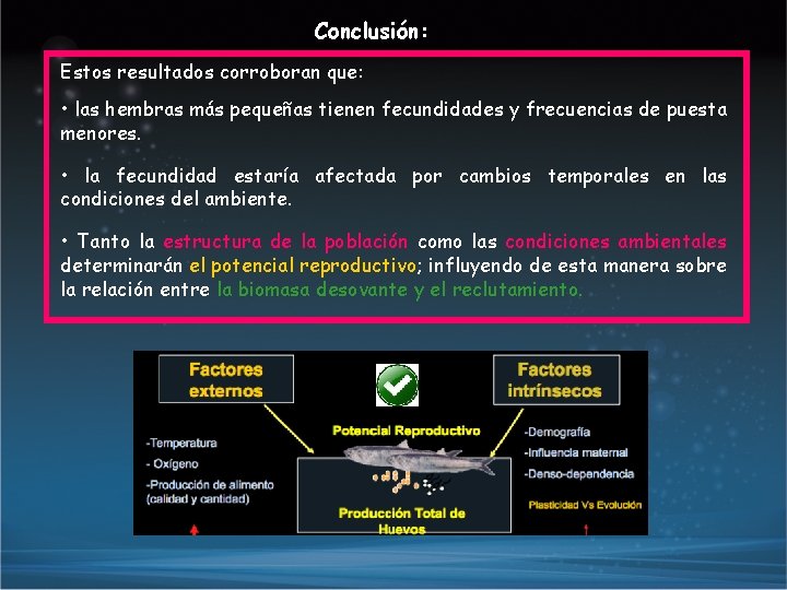 Conclusión: Estos resultados corroboran que: • las hembras más pequeñas tienen fecundidades y frecuencias